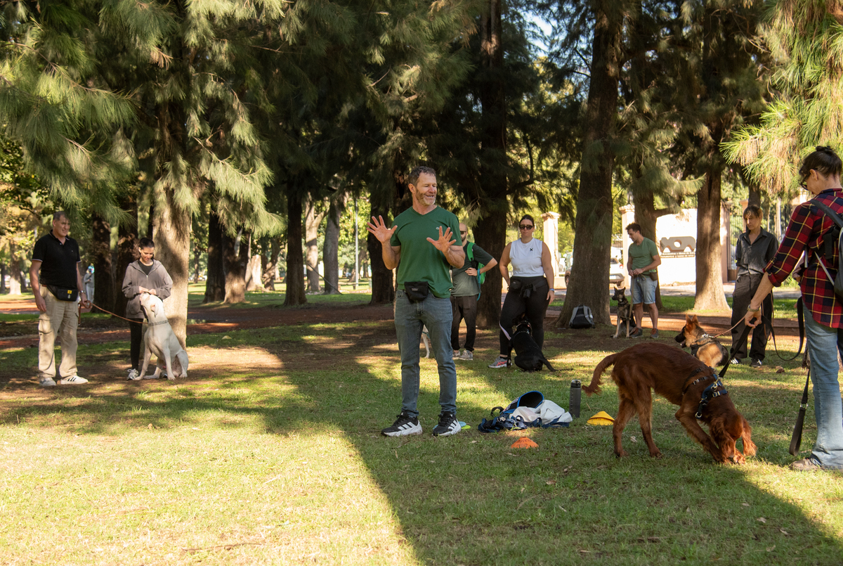Perros de Servicio